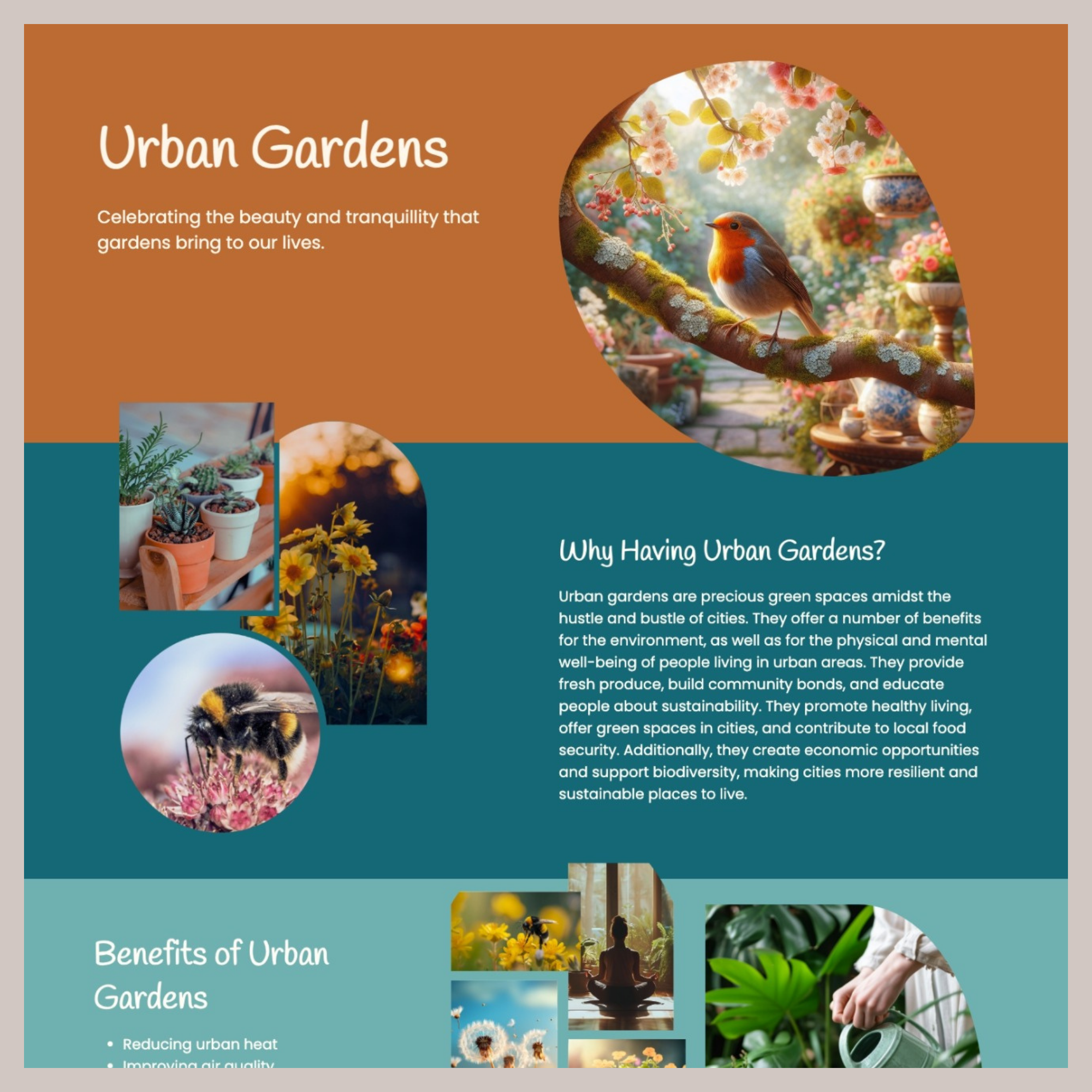 Urban Garden Project